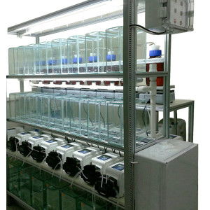 thmorgandl6000供應(yīng)商 臺(tái)灣其它dl6000國(guó)產(chǎn)