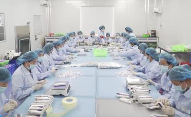 快訊!海滄&rarr;1354.1億元!生產(chǎn)線全開(kāi)&hellip;