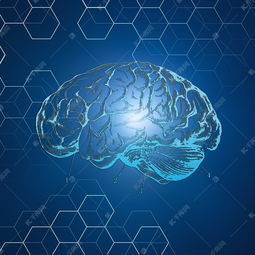 生物基因科技未來技術抽象幾何空間線條腦科素材圖片免費下載 千庫網(wǎng)