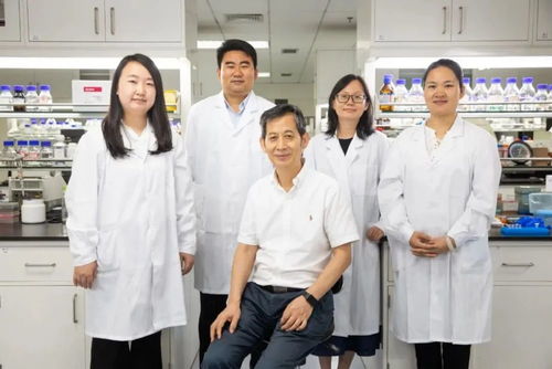 重大突破刷屏 中國(guó)實(shí)現(xiàn)二氧化碳合成淀粉,背后的合成生物技術(shù)是什么來頭