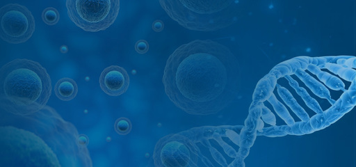 上海貝德?tīng)柹锟萍? />
</span>
<span id=